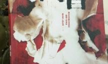 《肉香》在线观看,一场美食与情感的交织之旅